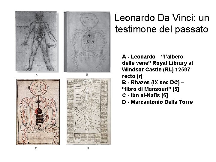 Leonardo Da Vinci: un testimone del passato A - Leonardo – “l’albero delle vene”