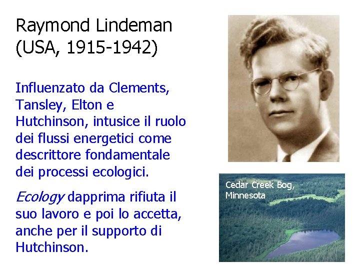 Raymond Lindeman (USA, 1915 -1942) Influenzato da Clements, Tansley, Elton e Hutchinson, intusice il