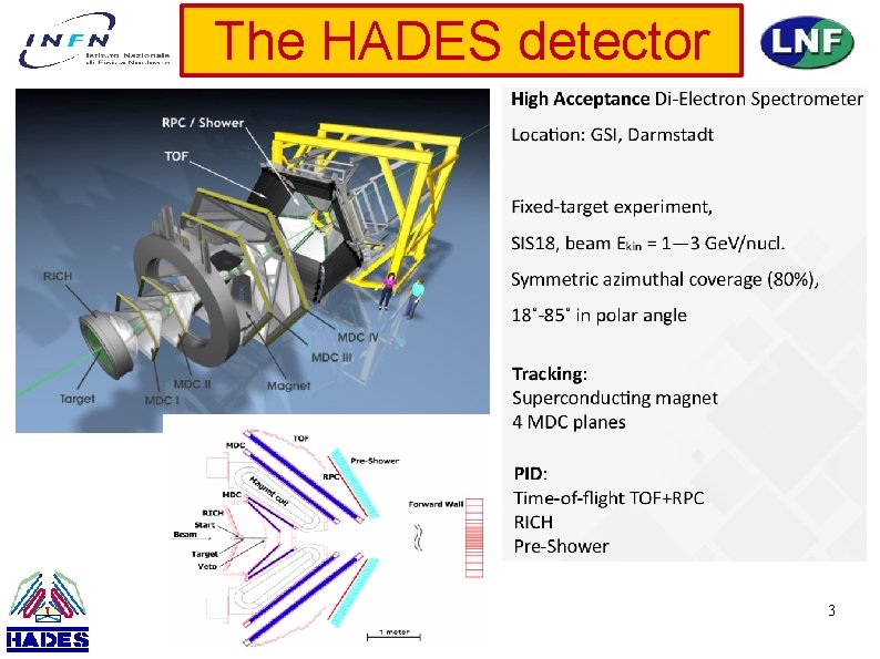 The HADES detector 3 