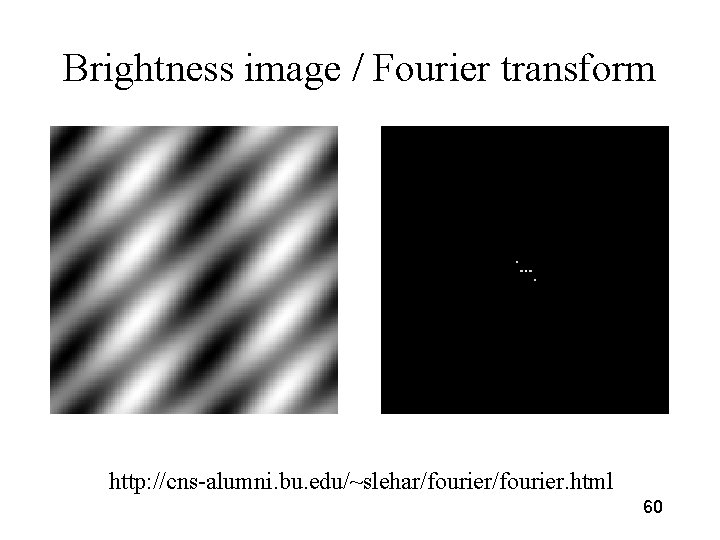 Brightness image / Fourier transform http: //cns-alumni. bu. edu/~slehar/fourier. html 60 