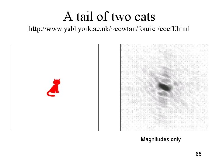 A tail of two cats http: //www. ysbl. york. ac. uk/~cowtan/fourier/coeff. html Magnitudes only