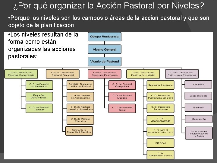 ¿Por qué organizar la Acción Pastoral por Niveles? • Porque los niveles son los