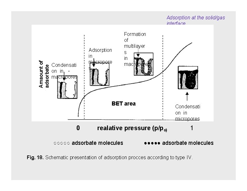Amaount of adsorbate Adsorption at the solid/gas interface Condensati on in macropores Adsorption in