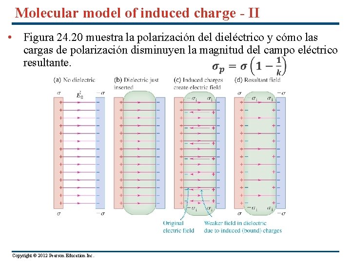 Molecular model of induced charge - II • Figura 24. 20 muestra la polarización