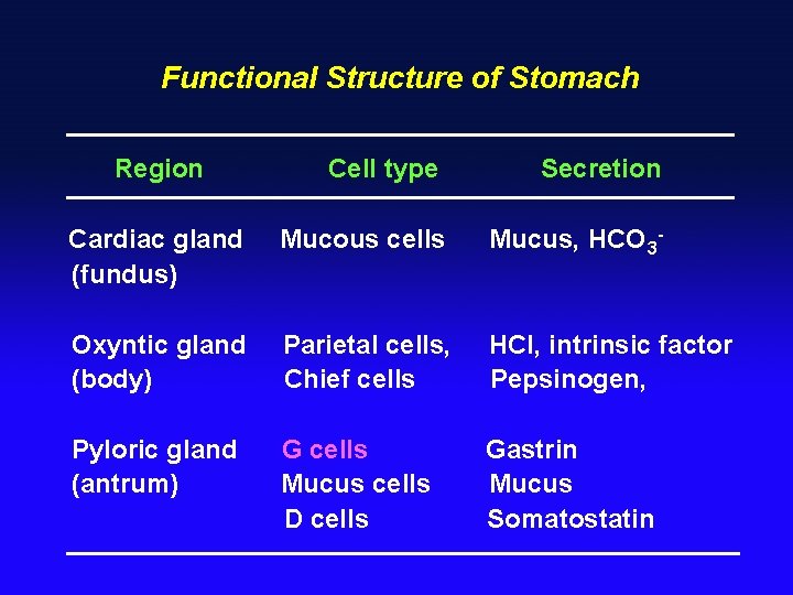 Functional Structure of Stomach Region Cell type Secretion Cardiac gland (fundus) Mucous cells Mucus,