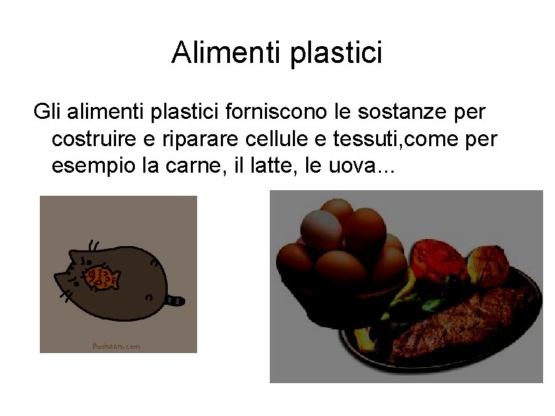 Alimenti plastici Gli alimenti plastici forniscono le sostanze per costruire e riparare cellule e