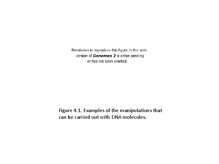 Figure 4. 1. Examples of the manipulations that can be carried out with DNA