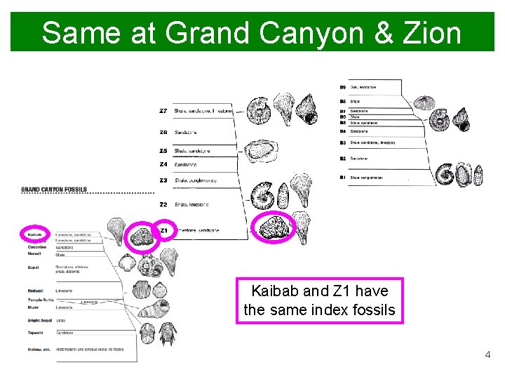 Same at Grand Canyon & Zion Kaibab and Z 1 have the same index Same at Grand Canyon & Zion Kaibab and Z 1 have the same index