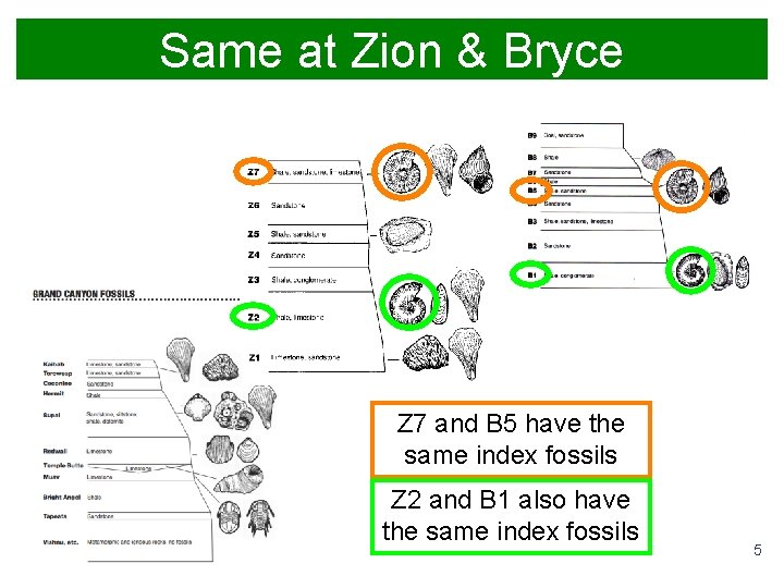 Same at Zion & Bryce Z 7 and B 5 have the same index