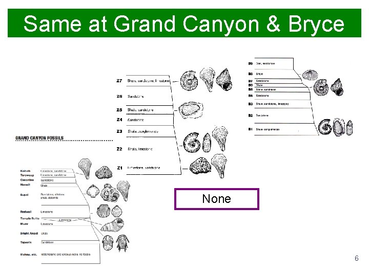 Same at Grand Canyon & Bryce None 6 