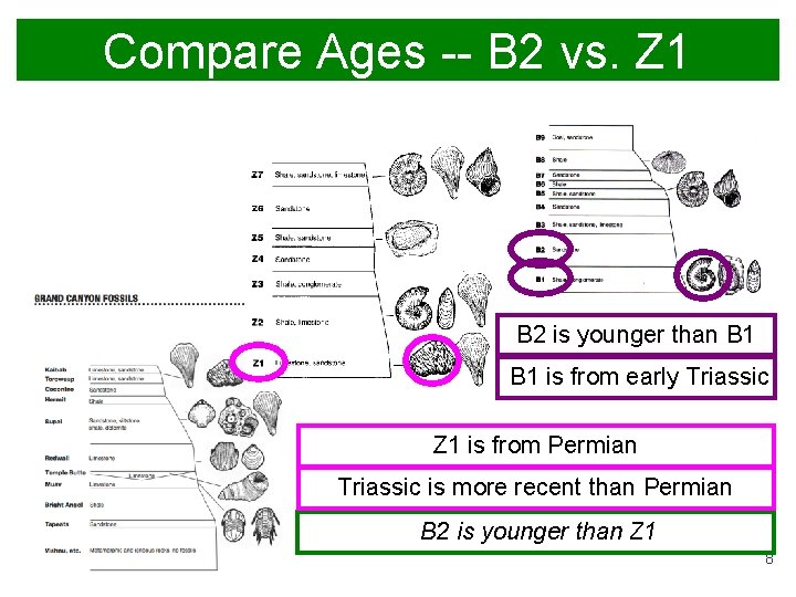 Compare Ages -- B 2 vs. Z 1 B 2 is younger than B