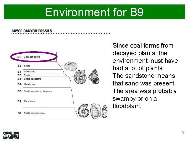 Environment for B 9 Since coal forms from decayed plants, the environment must have