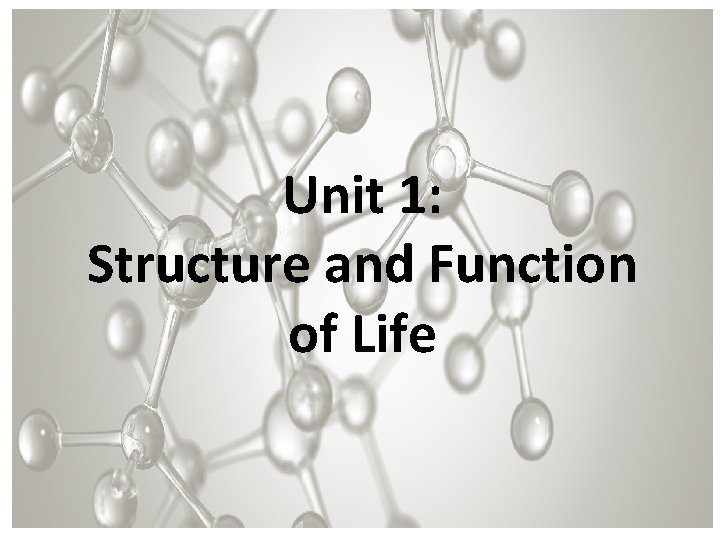 Unit 1: Structure and Function of Life 