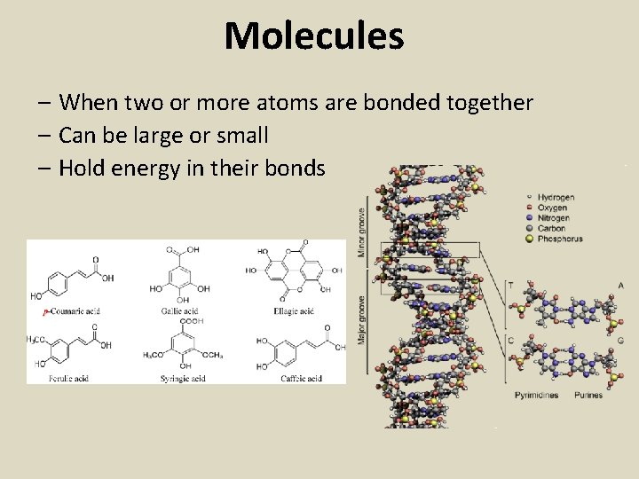 Molecules – When two or more atoms are bonded together – Can be large