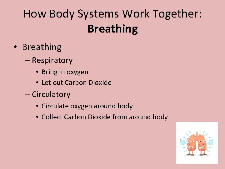 How Body Systems Work Together: Breathing • Breathing – Respiratory • Bring in oxygen