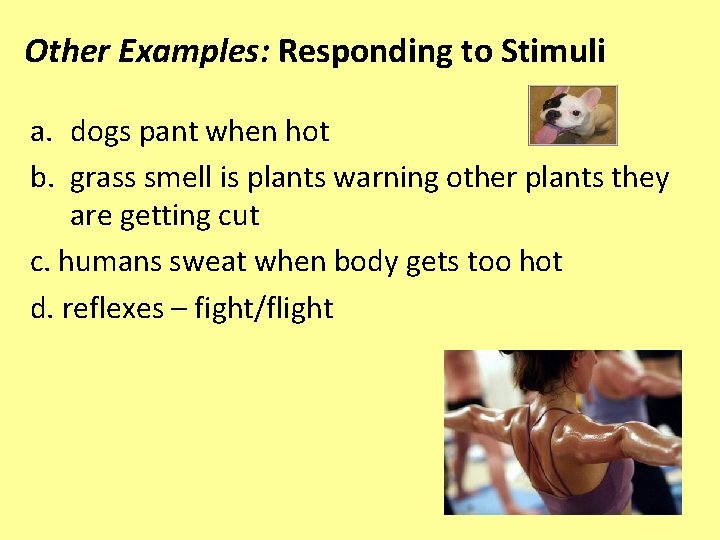 Other Examples: Responding to Stimuli a. dogs pant when hot b. grass smell is