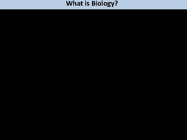 What is Biology? 