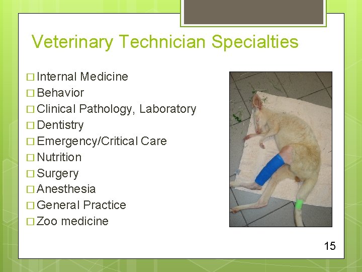 Veterinary Technician Specialties � Internal Medicine � Behavior � Clinical Pathology, Laboratory � Dentistry