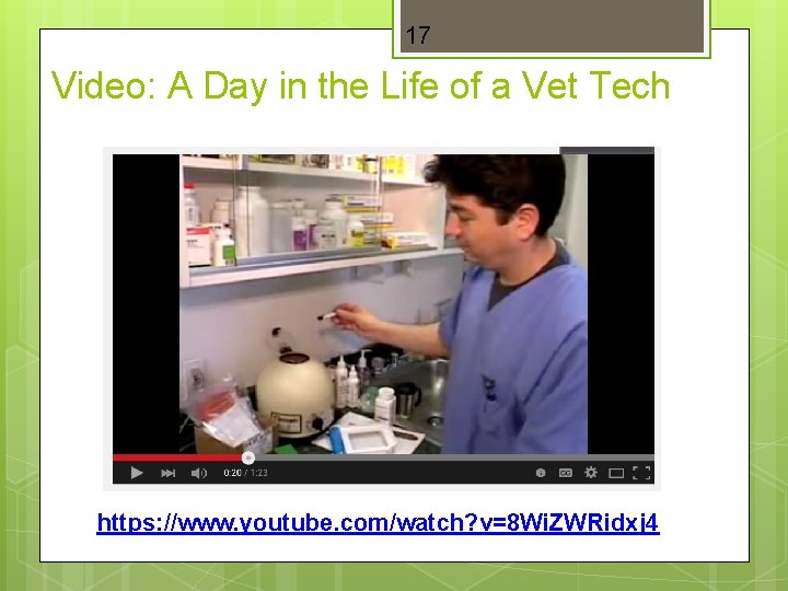 17 Video: A Day in the Life of a Vet Tech https: //www. youtube.