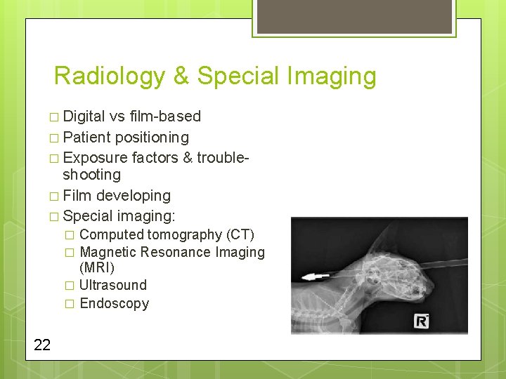 Radiology & Special Imaging � Digital vs film-based � Patient positioning � Exposure factors