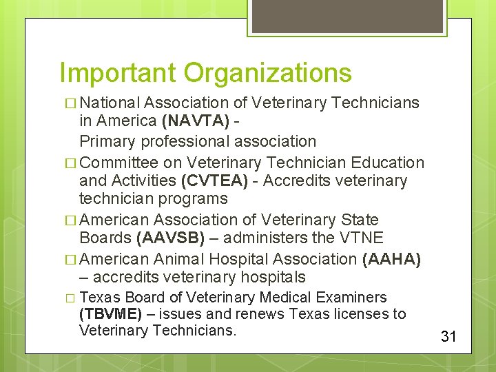 Important Organizations � National Association of Veterinary Technicians in America (NAVTA) Primary professional association