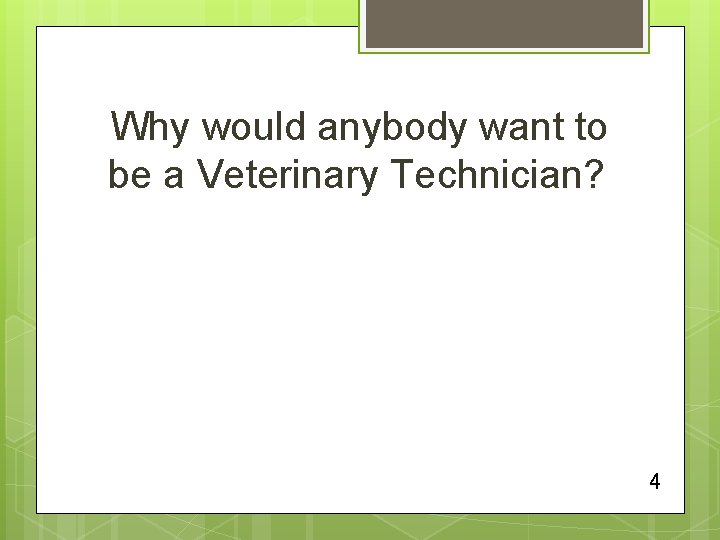 Why would anybody want to be a Veterinary Technician? 4 