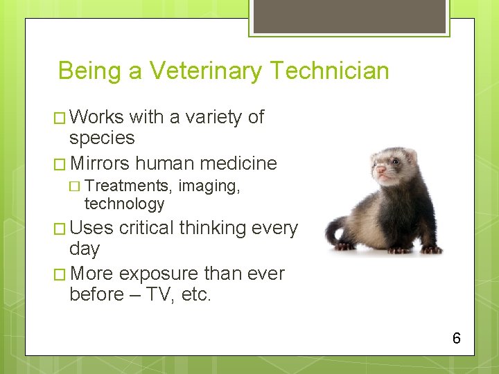 Being a Veterinary Technician � Works with a variety of species � Mirrors human