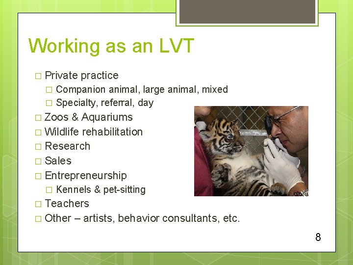 Working as an LVT � Private practice Companion animal, large animal, mixed � Specialty,