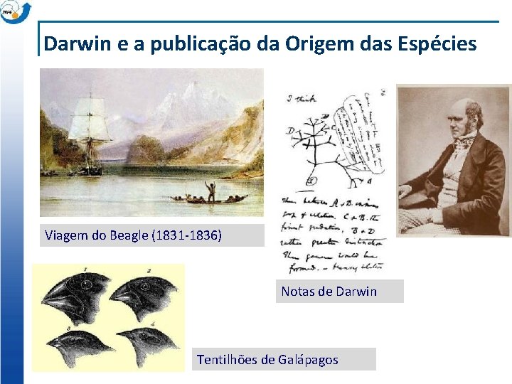 Darwin e a publicação da Origem das Espécies Viagem do Beagle (1831 -1836) Notas