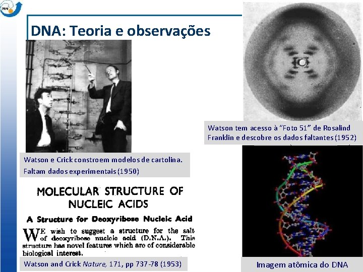 DNA: Teoria e observações Watson tem acesso à “Foto 51” de Rosalind Franklin e