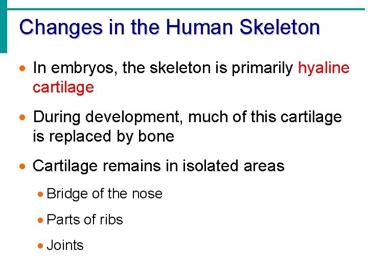 Changes in the Human Skeleton · In embryos, the skeleton is primarily hyaline cartilage Changes in the Human Skeleton · In embryos, the skeleton is primarily hyaline cartilage