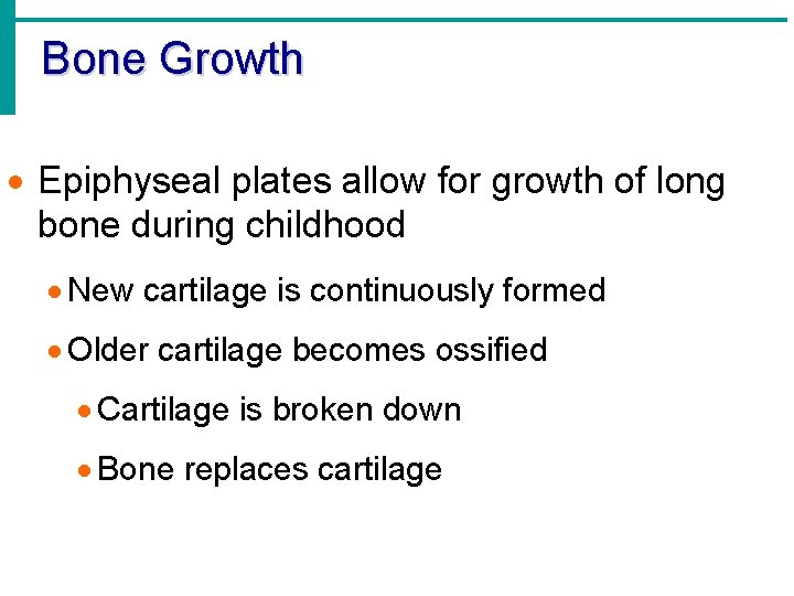 Bone Growth · Epiphyseal plates allow for growth of long bone during childhood ·