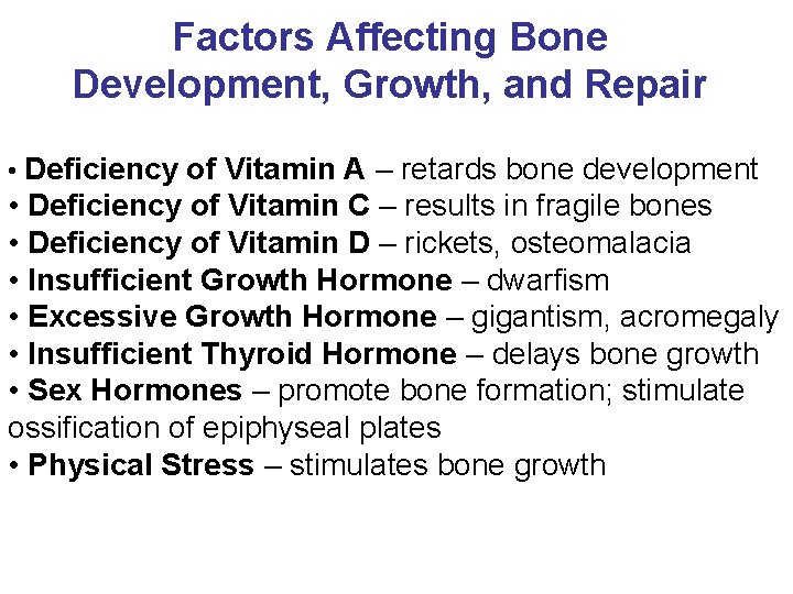 Factors Affecting Bone Development, Growth, and Repair • Deficiency of Vitamin A – retards