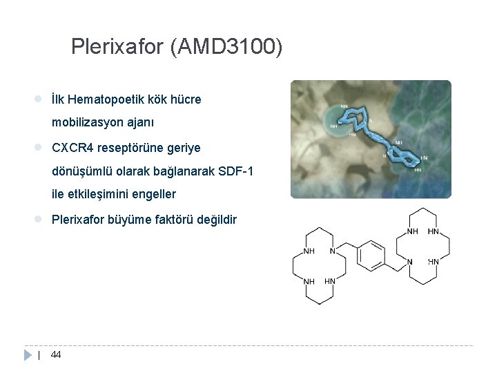 Plerixafor (AMD 3100) ● İlk Hematopoetik kök hücre mobilizasyon ajanı ● CXCR 4 reseptörüne