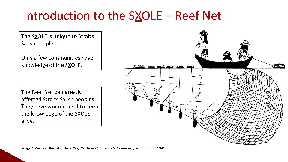 Introduction to the SXOLE – Reef Net The SXOLE is unique to Straits Salish