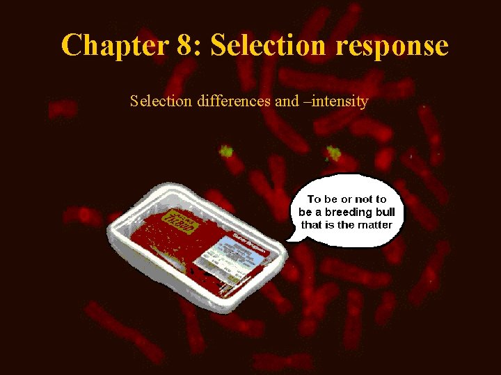 Chapter 8: Selection response Selection differences and –intensity 