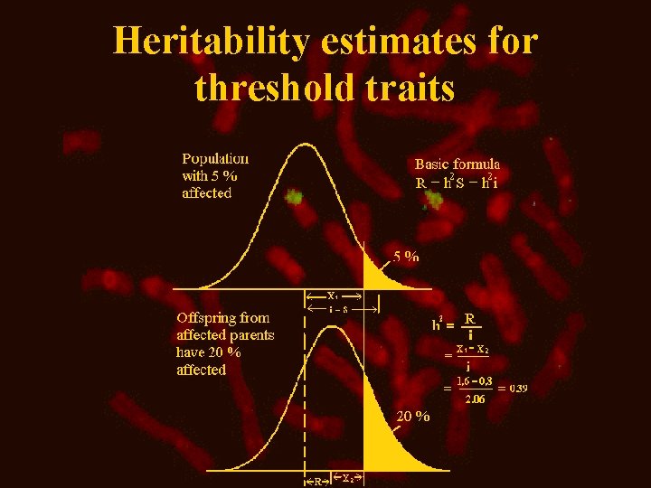 Heritability estimates for threshold traits 