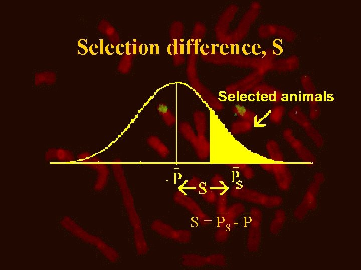 Selection difference, S S = PS - P 