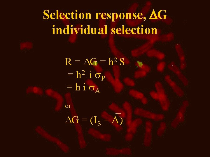 Selection response, G individual selection R = G = h 2 S = h