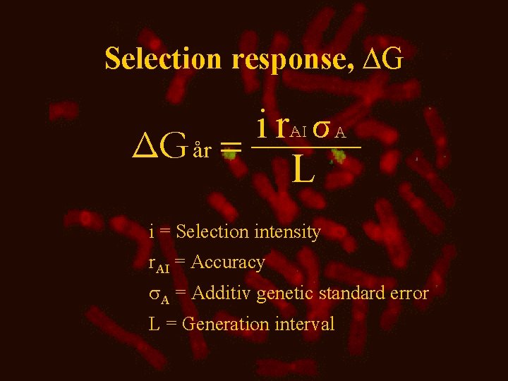 Selection response, G i = Selection intensity r. AI = Accuracy A = Additiv