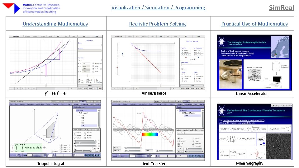 Sim. Real Visualization / Simulation / Programming Understanding Mathematics y’ = (ex)’ = ex