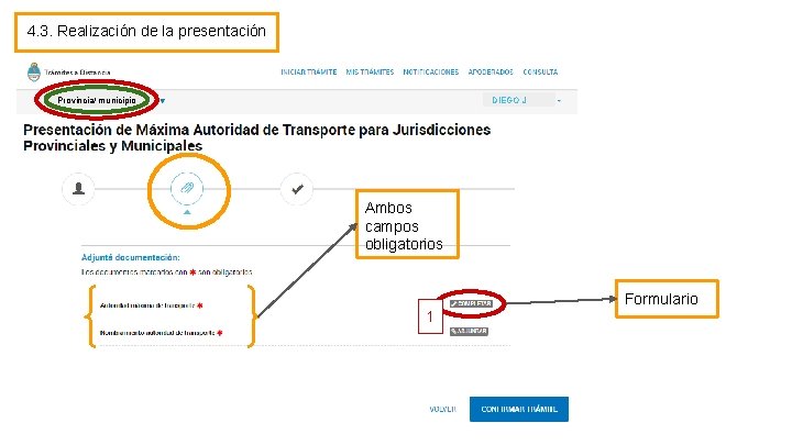 4. 3. Realización de la presentación Provincia/ municipio DIEGO J Ambos campos obligatorios Formulario