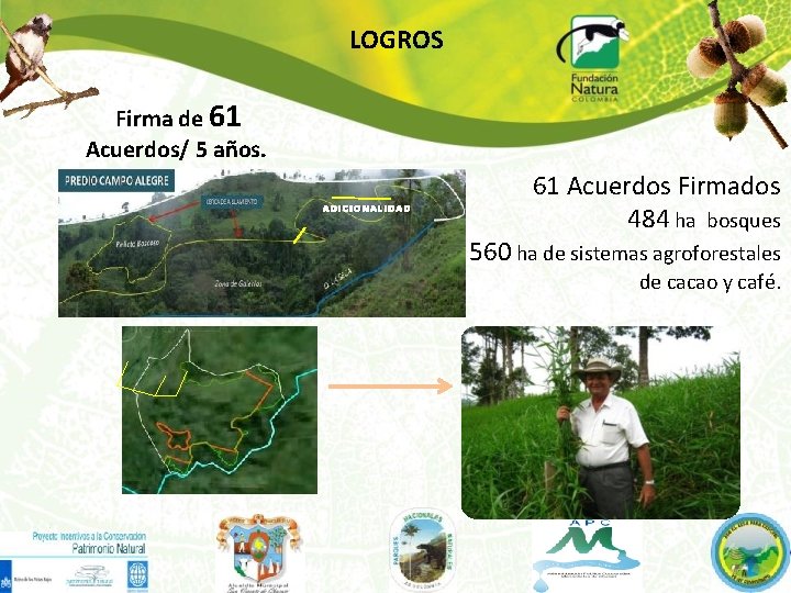 LOGROS Firma de 61 Acuerdos/ 5 años. ADICIONALIDAD 61 Acuerdos Firmados 484 ha bosques