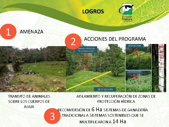 LOGROS 1 AMENAZA 2 TRANSITO DE ANIMALES SOBRE LOS CUERPOS DE AGUA 3 ACCIONES