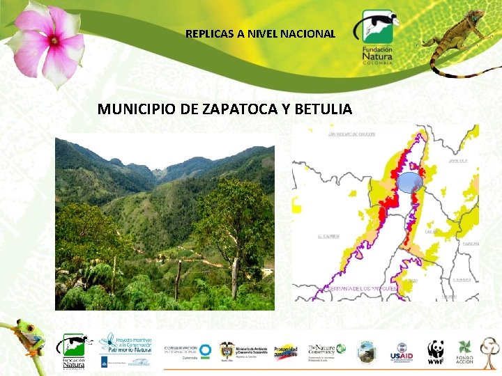 REPLICAS A NIVEL NACIONAL MUNICIPIO DE ZAPATOCA Y BETULIA 