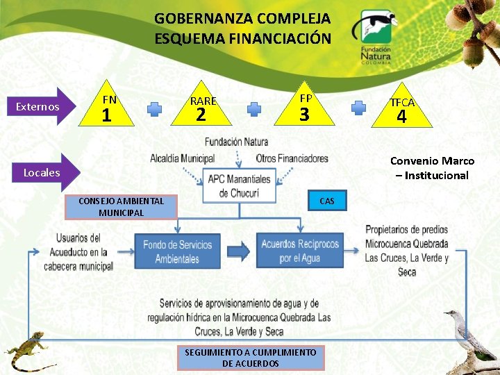 GOBERNANZA COMPLEJA ESQUEMA FINANCIACIÓN Externos FN 1 RARE 2 FP TFCA 3 4 Convenio