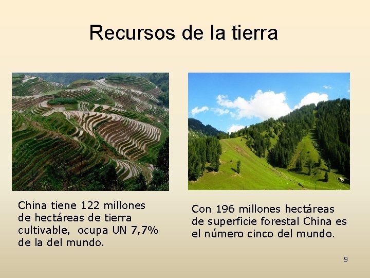 Recursos de la tierra China tiene 122 millones de hectáreas de tierra cultivable，ocupa UN