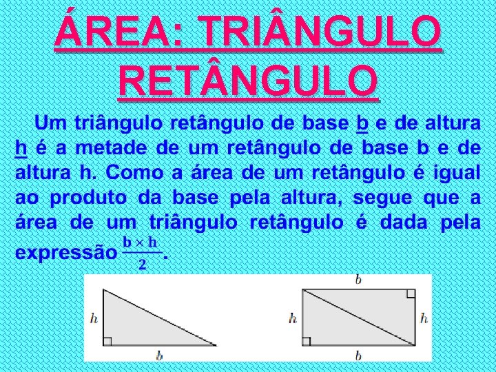 ÁREA: TRI NGULO RET NGULO • 