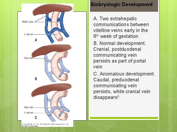 Embryologic Development A. Two extrahepatic communications between vitelline veins early in the 6 th