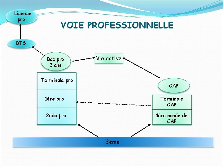 Licence pro VOIE PROFESSIONNELLE BTS Bac pro 3 ans Vie active Terminale pro CAP